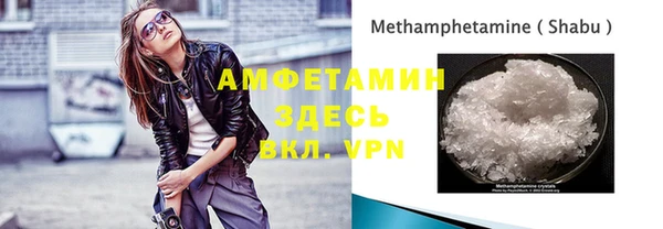 прущие грибы Щучье