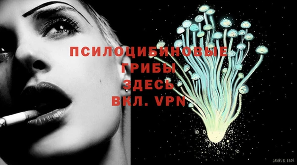 спиды Карпинск