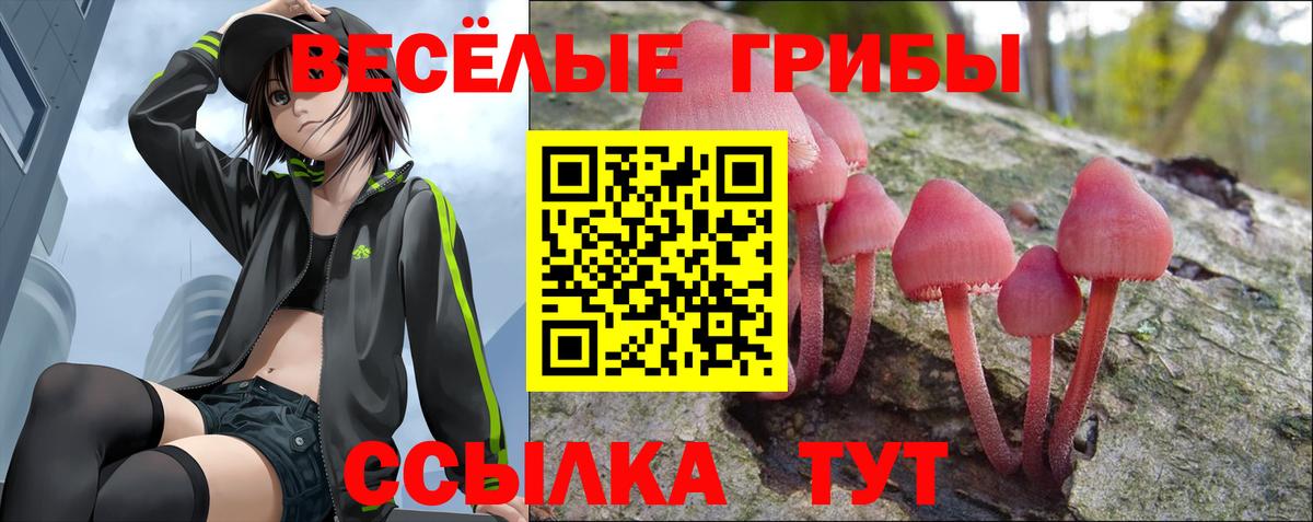 где купить наркотик  Вход с VPN  Батайск  Галлюциногенные грибы прущие грибы 