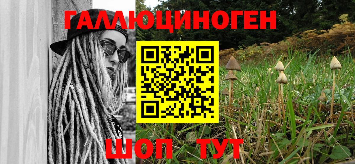 дарнет шоп  Псилоцибиновые грибы прущие грибы  Вход с VPN  Батайск 