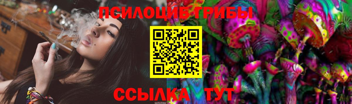 Псилоцибиновые грибы Psilocybine cubensis Батайск